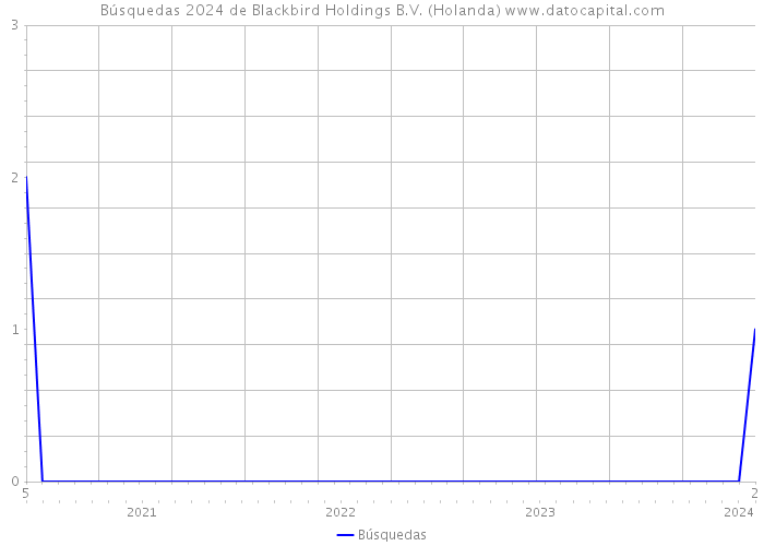 Búsquedas 2024 de Blackbird Holdings B.V. (Holanda) 