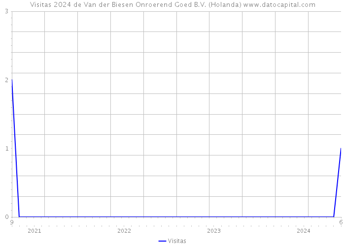 Visitas 2024 de Van der Biesen Onroerend Goed B.V. (Holanda) 