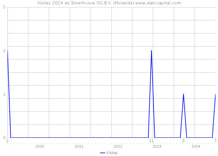 Visitas 2024 de Silverhoeve OG B.V. (Holanda) 