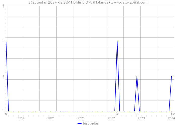 Búsquedas 2024 de BCR Holding B.V. (Holanda) 