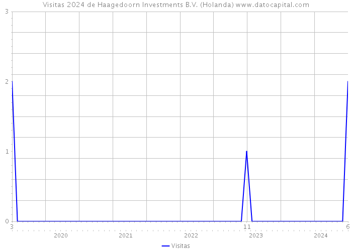 Visitas 2024 de Haagedoorn Investments B.V. (Holanda) 