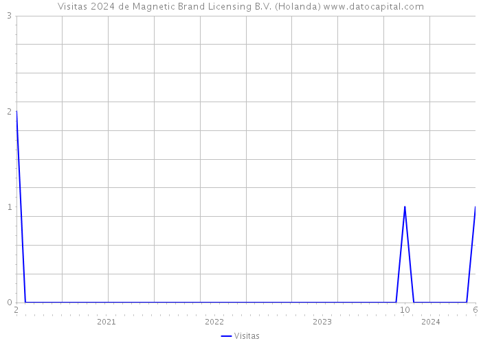Visitas 2024 de Magnetic Brand Licensing B.V. (Holanda) 