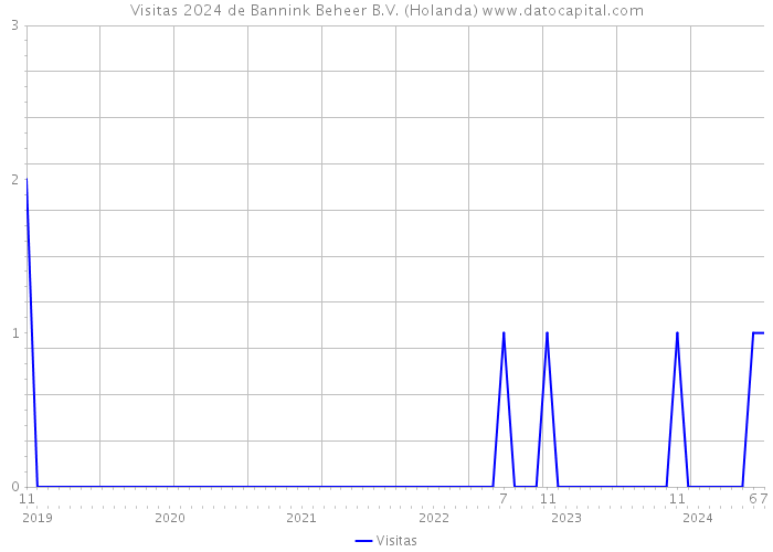 Visitas 2024 de Bannink Beheer B.V. (Holanda) 