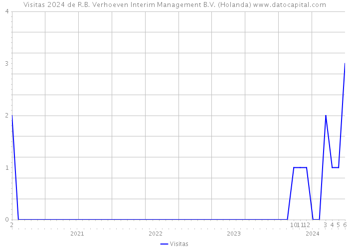 Visitas 2024 de R.B. Verhoeven Interim Management B.V. (Holanda) 