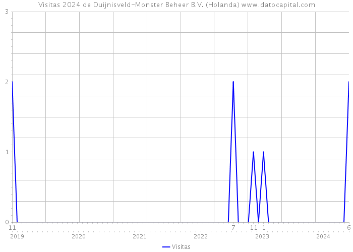 Visitas 2024 de Duijnisveld-Monster Beheer B.V. (Holanda) 