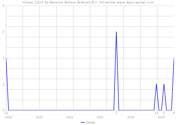 Visitas 2024 de Bannink Beheer Brabant B.V. (Holanda) 