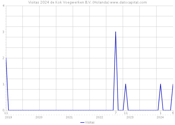 Visitas 2024 de Kok Voegwerken B.V. (Holanda) 