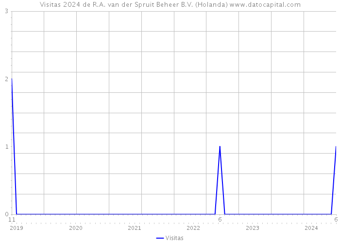 Visitas 2024 de R.A. van der Spruit Beheer B.V. (Holanda) 