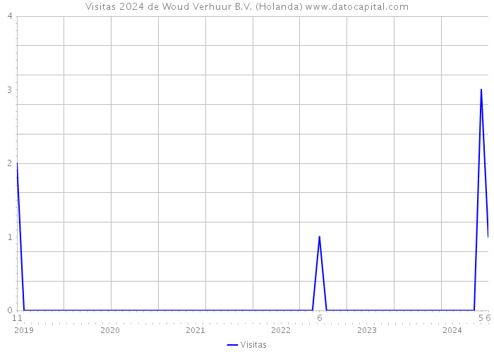 Visitas 2024 de Woud Verhuur B.V. (Holanda) 