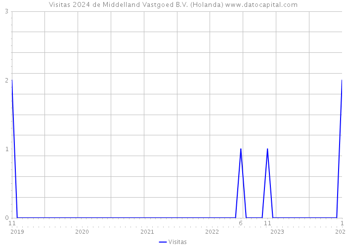 Visitas 2024 de Middelland Vastgoed B.V. (Holanda) 