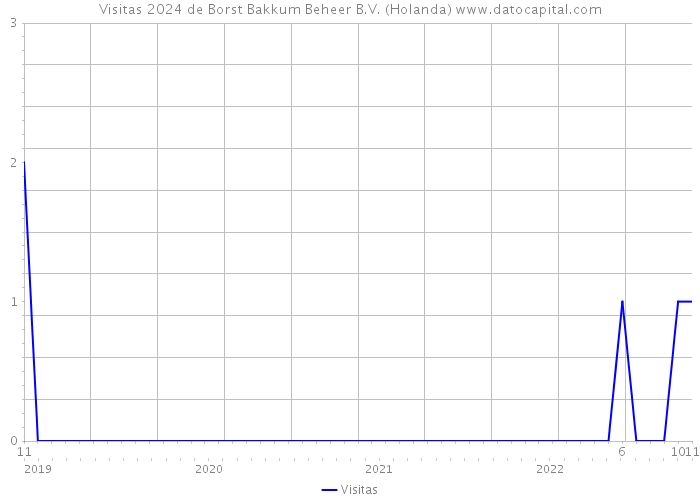 Visitas 2024 de Borst Bakkum Beheer B.V. (Holanda) 