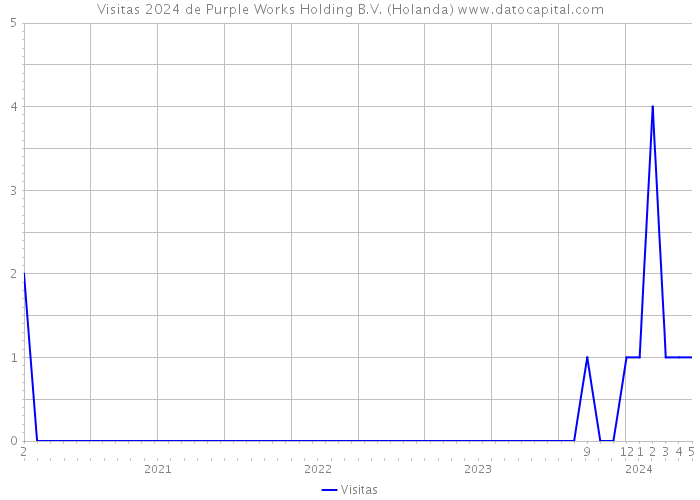 Visitas 2024 de Purple Works Holding B.V. (Holanda) 