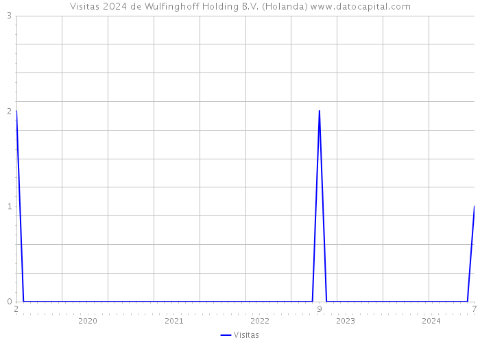 Visitas 2024 de Wulfinghoff Holding B.V. (Holanda) 