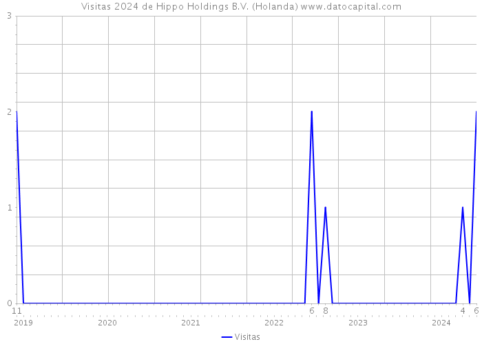 Visitas 2024 de Hippo Holdings B.V. (Holanda) 