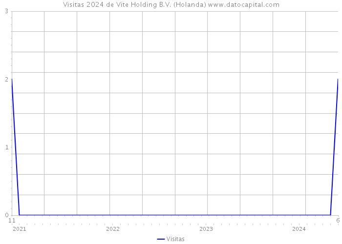 Visitas 2024 de Vite Holding B.V. (Holanda) 