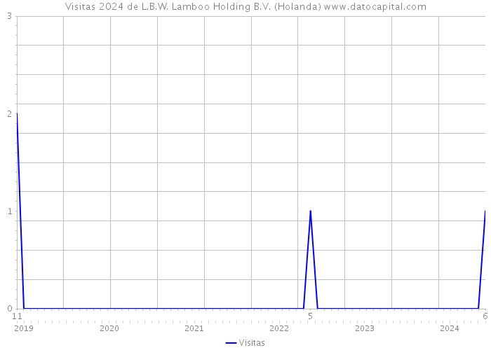 Visitas 2024 de L.B.W. Lamboo Holding B.V. (Holanda) 