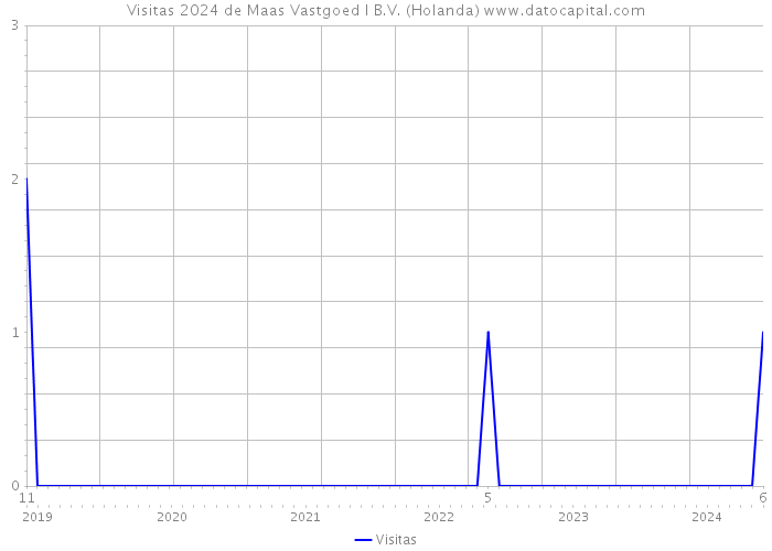 Visitas 2024 de Maas Vastgoed I B.V. (Holanda) 