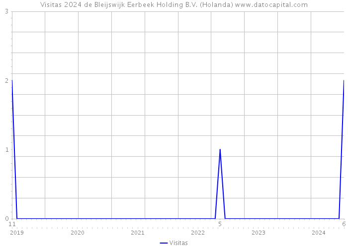 Visitas 2024 de Bleijswijk Eerbeek Holding B.V. (Holanda) 