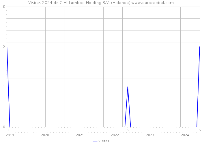 Visitas 2024 de C.H. Lamboo Holding B.V. (Holanda) 