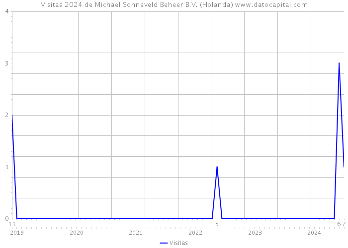 Visitas 2024 de Michael Sonneveld Beheer B.V. (Holanda) 