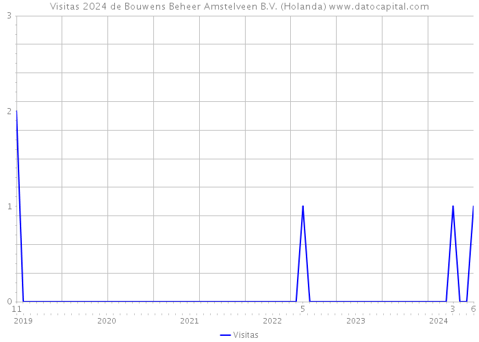 Visitas 2024 de Bouwens Beheer Amstelveen B.V. (Holanda) 