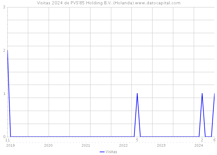 Visitas 2024 de PVS'85 Holding B.V. (Holanda) 