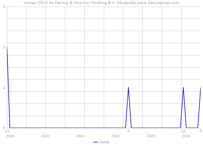 Visitas 2024 de Haring & Visscher Holding B.V. (Holanda) 