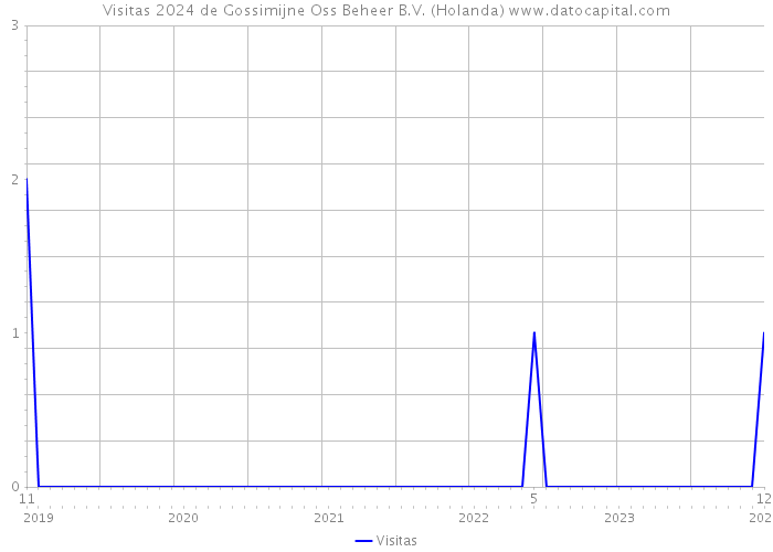 Visitas 2024 de Gossimijne Oss Beheer B.V. (Holanda) 