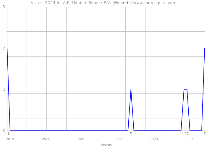 Visitas 2024 de A.P. Nooijen Beheer B.V. (Holanda) 