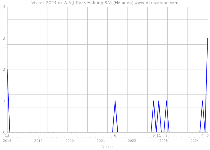 Visitas 2024 de A.A.J. Roks Holding B.V. (Holanda) 