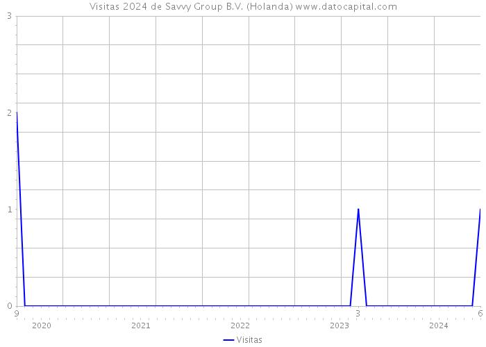 Visitas 2024 de Savvy Group B.V. (Holanda) 