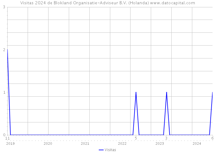 Visitas 2024 de Blokland Organisatie-Adviseur B.V. (Holanda) 