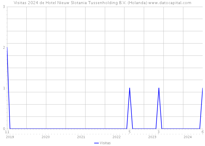 Visitas 2024 de Hotel Nieuw Slotania Tussenholding B.V. (Holanda) 