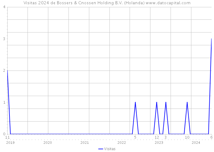 Visitas 2024 de Bossers & Cnossen Holding B.V. (Holanda) 
