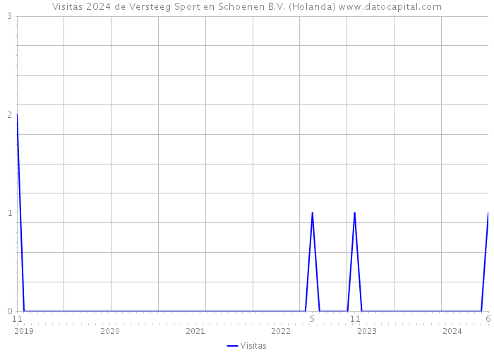 Visitas 2024 de Versteeg Sport en Schoenen B.V. (Holanda) 