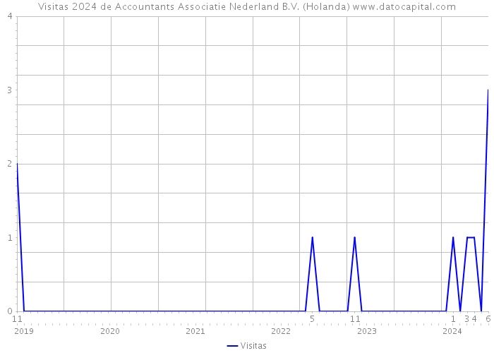 Visitas 2024 de Accountants Associatie Nederland B.V. (Holanda) 