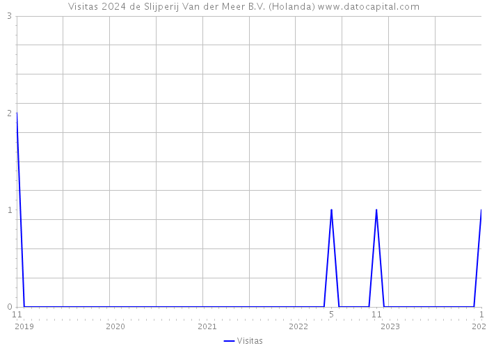 Visitas 2024 de Slijperij Van der Meer B.V. (Holanda) 