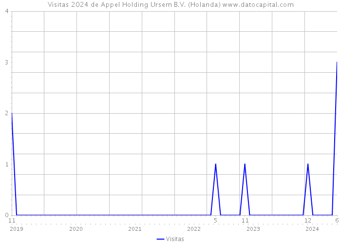 Visitas 2024 de Appel Holding Ursem B.V. (Holanda) 