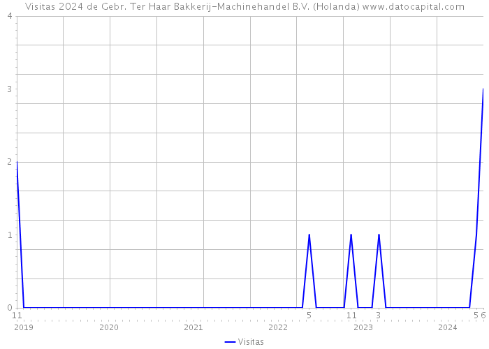 Visitas 2024 de Gebr. Ter Haar Bakkerij-Machinehandel B.V. (Holanda) 