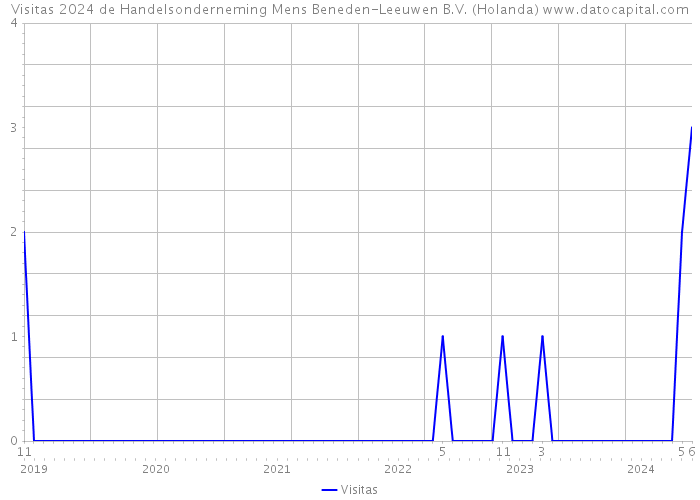 Visitas 2024 de Handelsonderneming Mens Beneden-Leeuwen B.V. (Holanda) 