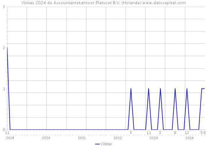 Visitas 2024 de Accountantskantoor Platvoet B.V. (Holanda) 