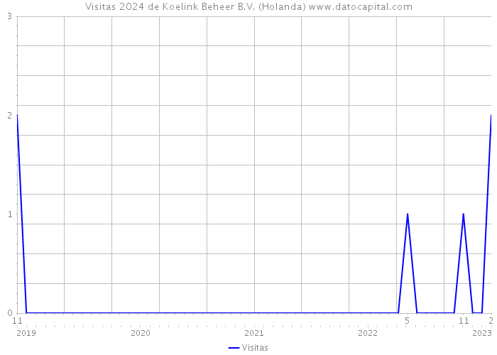 Visitas 2024 de Koelink Beheer B.V. (Holanda) 