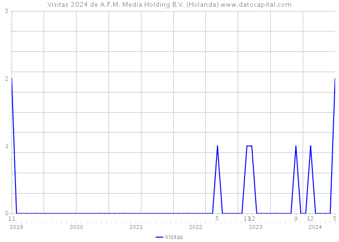 Visitas 2024 de A.F.M. Media Holding B.V. (Holanda) 