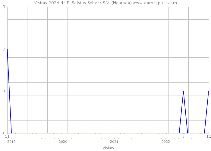 Visitas 2024 de P. Bolsius Beheer B.V. (Holanda) 