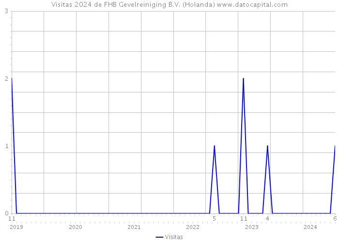 Visitas 2024 de FHB Gevelreiniging B.V. (Holanda) 