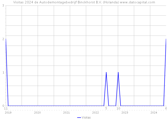 Visitas 2024 de Autodemontagebedrijf Binckhorst B.V. (Holanda) 