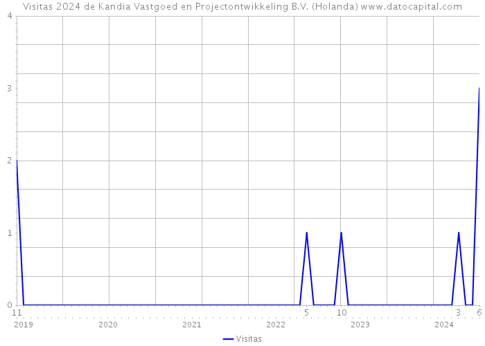 Visitas 2024 de Kandia Vastgoed en Projectontwikkeling B.V. (Holanda) 