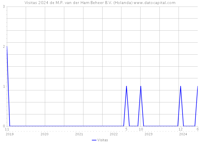 Visitas 2024 de M.P. van der Ham Beheer B.V. (Holanda) 