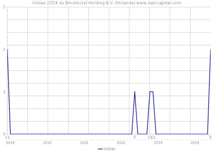 Visitas 2024 de Binckhorst Holding B.V. (Holanda) 