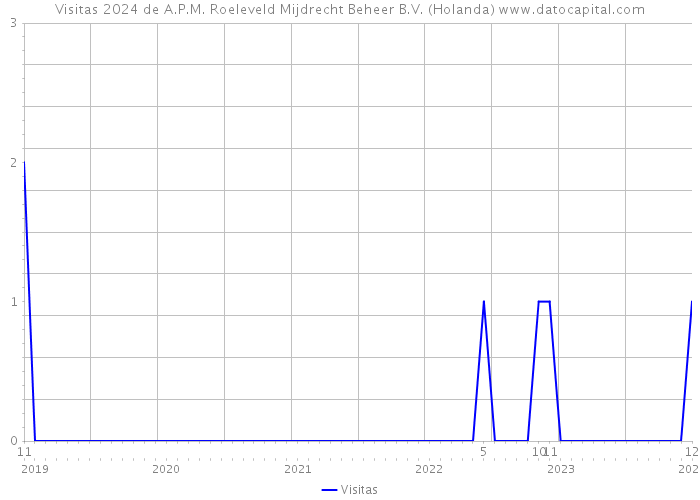 Visitas 2024 de A.P.M. Roeleveld Mijdrecht Beheer B.V. (Holanda) 